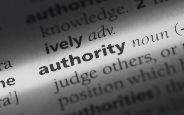 Topic Authority